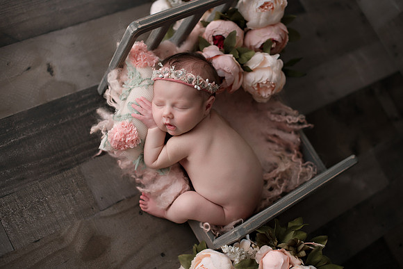 WILLOW_62