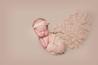 TINLEY6