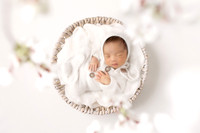 ANDERSON_10DAYS-16