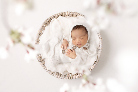 ANDERSON_10DAYS-16