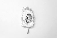 NOAH_14DAYS-19