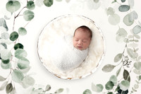 CANNON_7DAYS-13