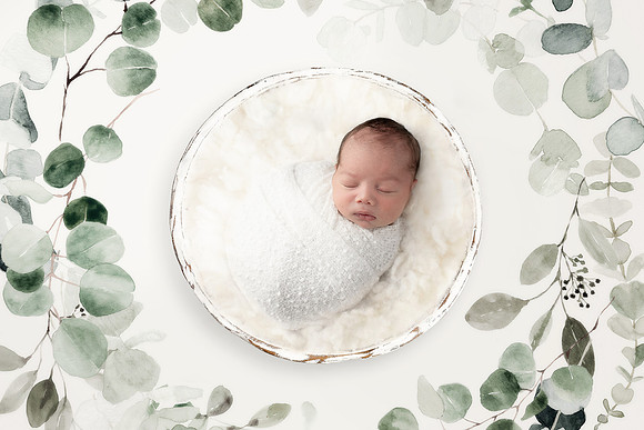 CANNON_7DAYS-13