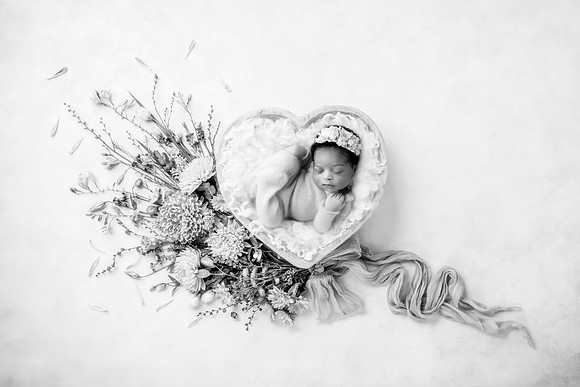 ELBRI_9DAYS-14