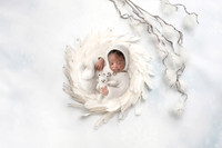 MALCOM_12DAYS-17
