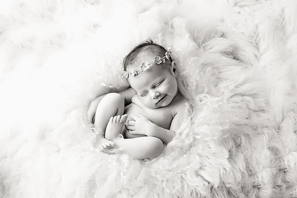 WILLOW_58bw