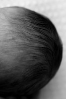 EZRA_14DAYS-8bw
