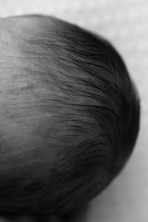 EZRA_14DAYS-8bw