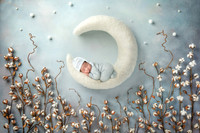 JULLIAN_11DAYS-1