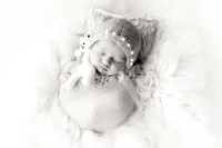 WILLOW_15