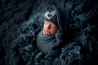 ZIGGY_9DAYS_5