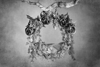 EVERLEIGH_7DAYS-2