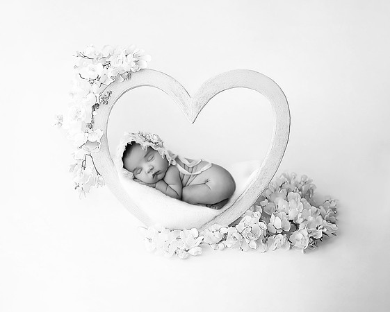 LOLA_15DAYS-14