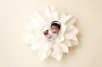 PILAR_11DAYS-1