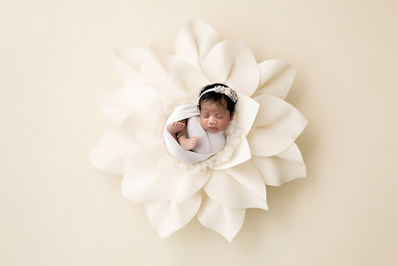 PILAR_11DAYS-1