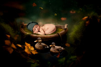 RYKER_15DAYS-18