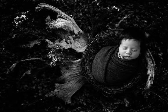 OLIVER_16DAYS-36