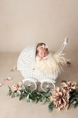 EVERLEIGH_7DAYS-21