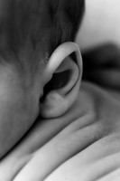 EZRA_14DAYS-6bw