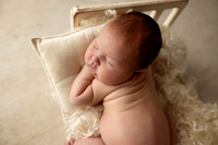 NOAH_14DAYS-15