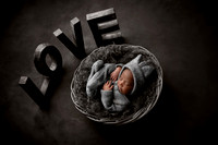 MALCOM_12DAYS-1