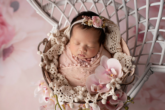 CHARLOTTE_13DAYS-18
