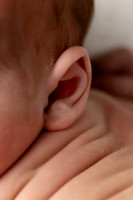 EZRA_14DAYS-6