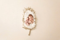 NOAH_14DAYS-18