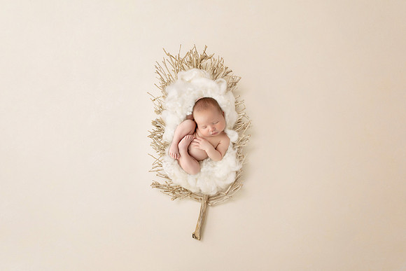 NOAH_14DAYS-18