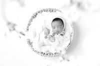 ANDERSON_10DAYS-17