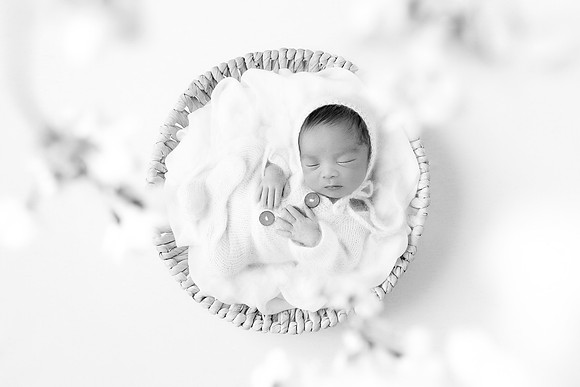 ANDERSON_10DAYS-17