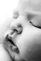 NOAH_14DAYS-5