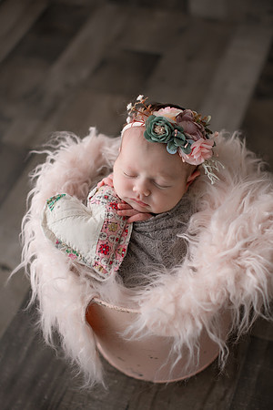 WILLOW_23