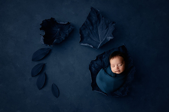 LUCAS_6WEEKS-27