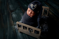 WOLFE_20DAYS-14
