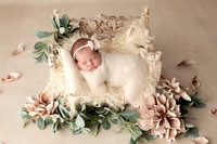 EVERLEIGH_7DAYS-7
