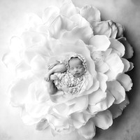 PARKER_10DAYS-12