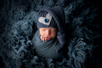 ZIGGY_9DAYS_3