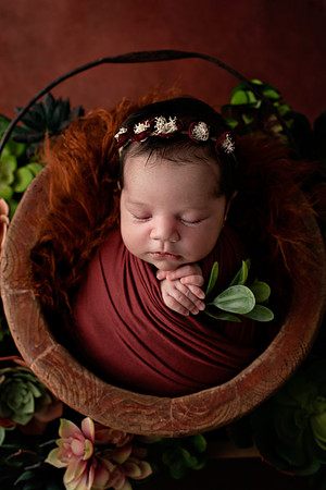 AAROHI_14DAYS_17-3