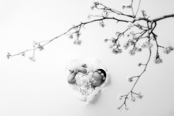 SYLVANNA_17DAYS-13