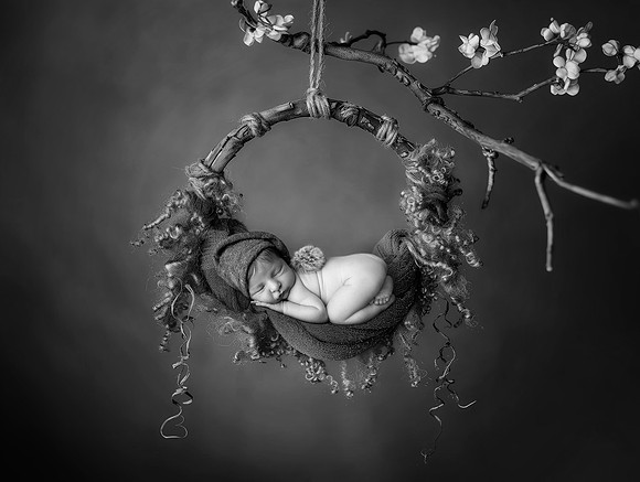 DECLAN_10DAYS-2