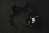 WATSON_5DAYS_9