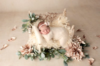 EVERLEIGH_7DAYS-8