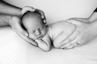 EZRA_14DAYS-9bw