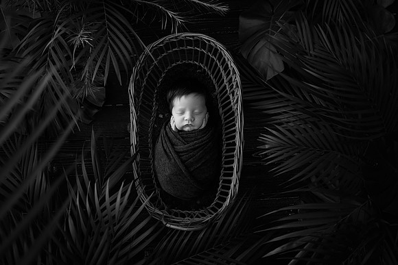 OLIVER_16DAYS-40