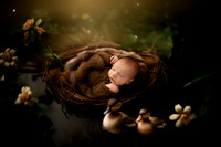 RYKER_15DAYS-7
