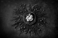JULLIAN_11DAYS-19