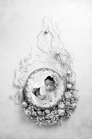 PILAR_11DAYS-30