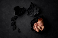 HOLDEN_13DAYS-7