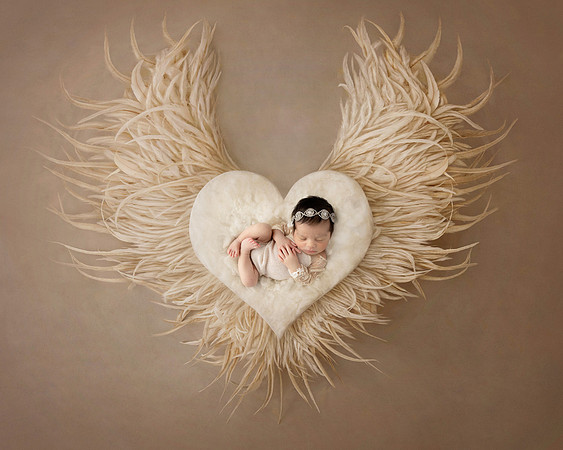 NORA_12DAYS-1